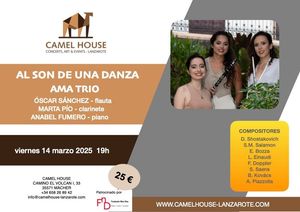 Flyer des Eventos «AL SON DE UNA DANZA»